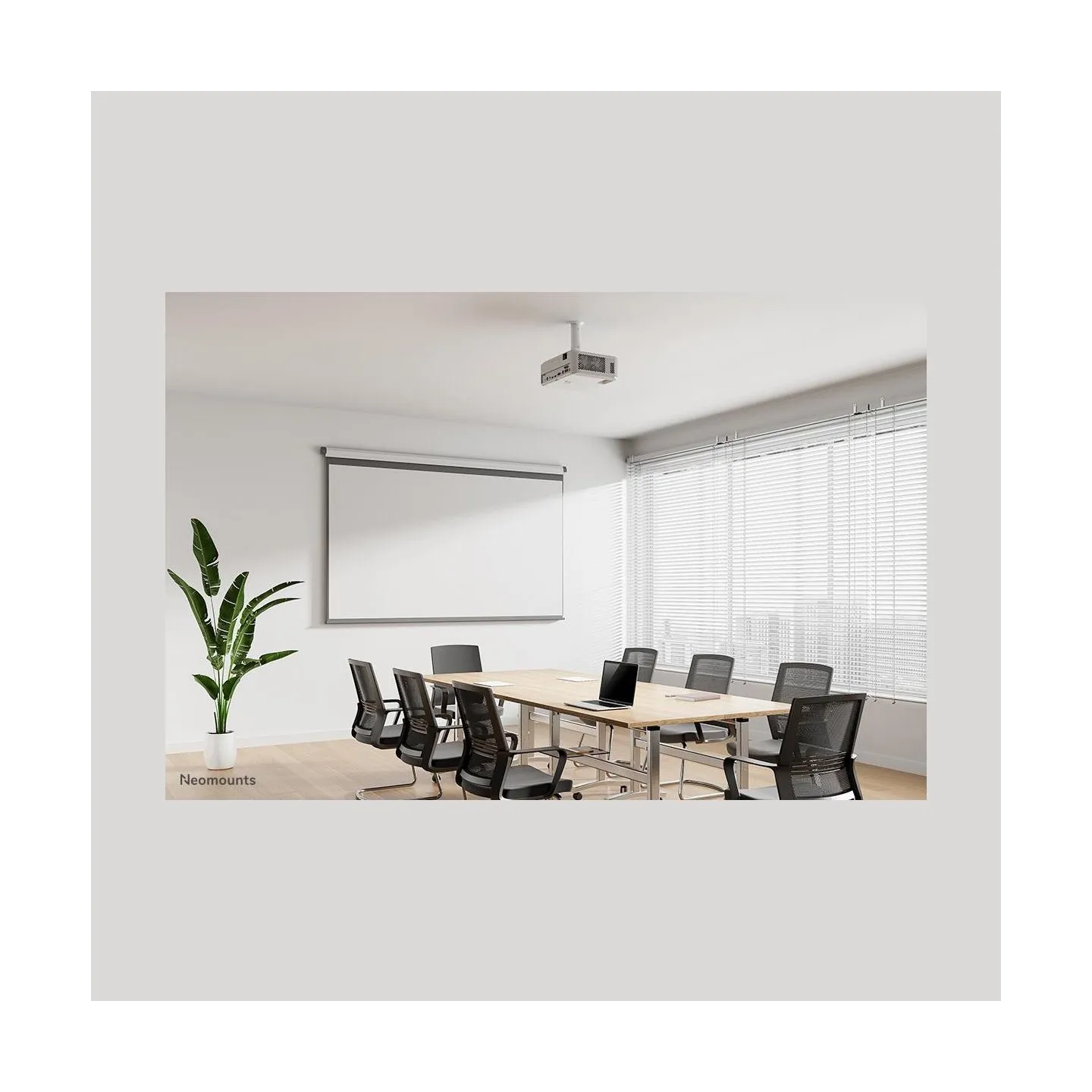 Neomounts PROJECTOR ACC CEILING MOUNT/BEAMER-C80WHITE NEOMOUNTS