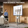 Onkron TV SET ACC MOBILE STAND/55-90"/CHAMPAGNE TS1871-C ONKRON