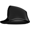 Natec Mouse | Jaguar Pro | Wireless | 2.4 GHz, Bluetooth | Black