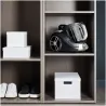 Tefal | TW4B36 Compact Power XXL | Vacuum cleaner | Bagless | Power 900 W | Dust capacity 2.5 L | Grey