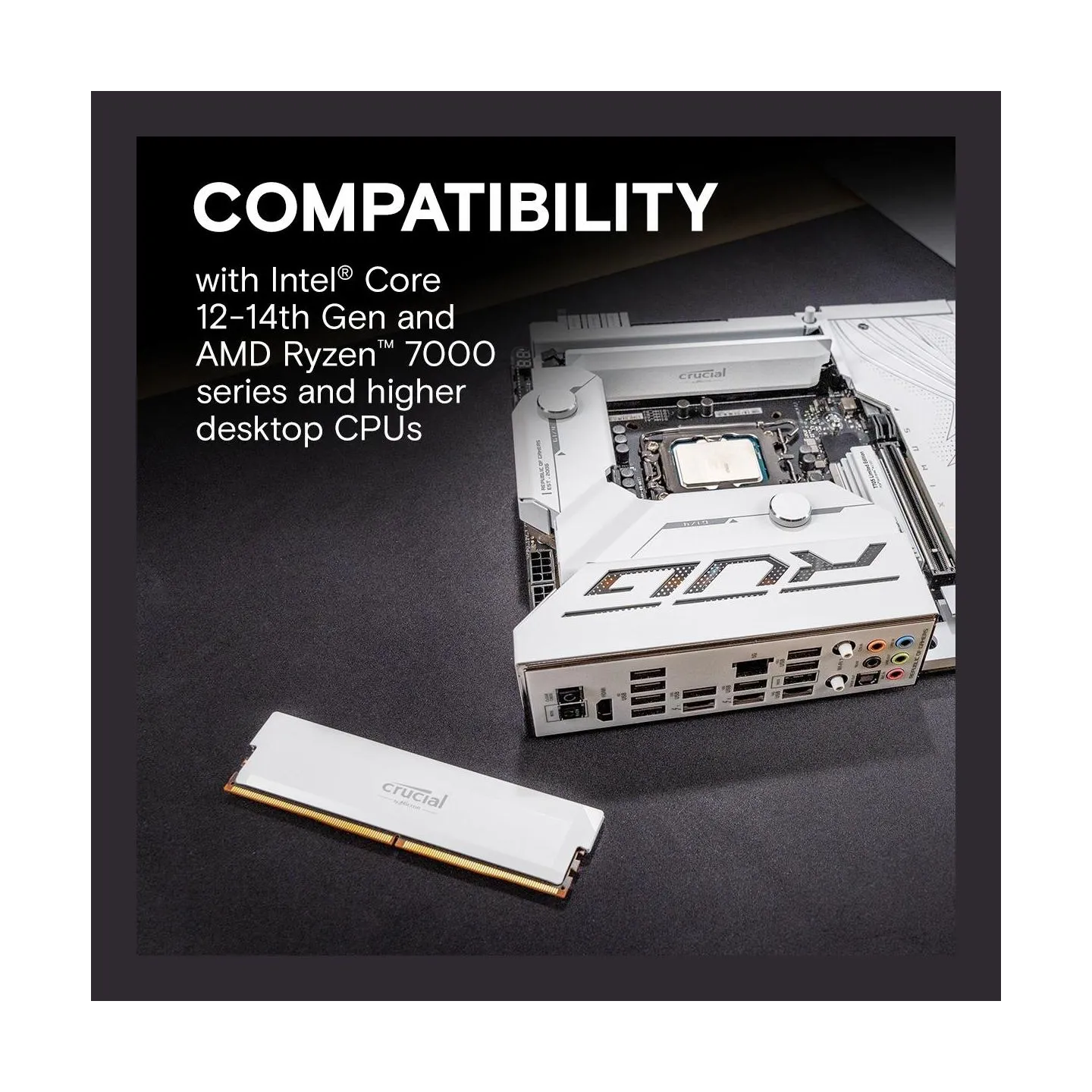 Crucial MEMORY DIMM PRO 32GB DDR5-6000/KIT2 CP2K16G60C36U5W CRUCIAL