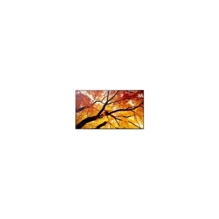 Sharp Display MultiSync M322 32-inch 24/7