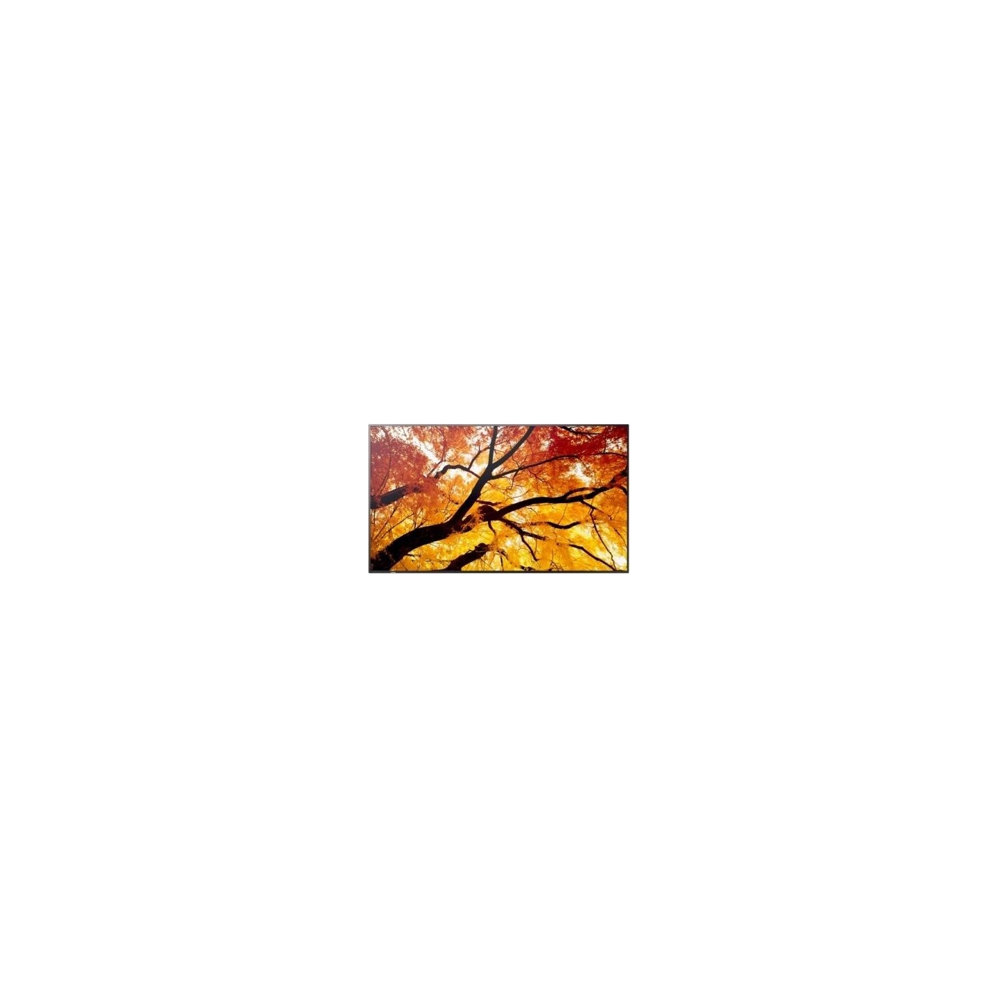Sharp Display MultiSync M322 32-inch 24/7