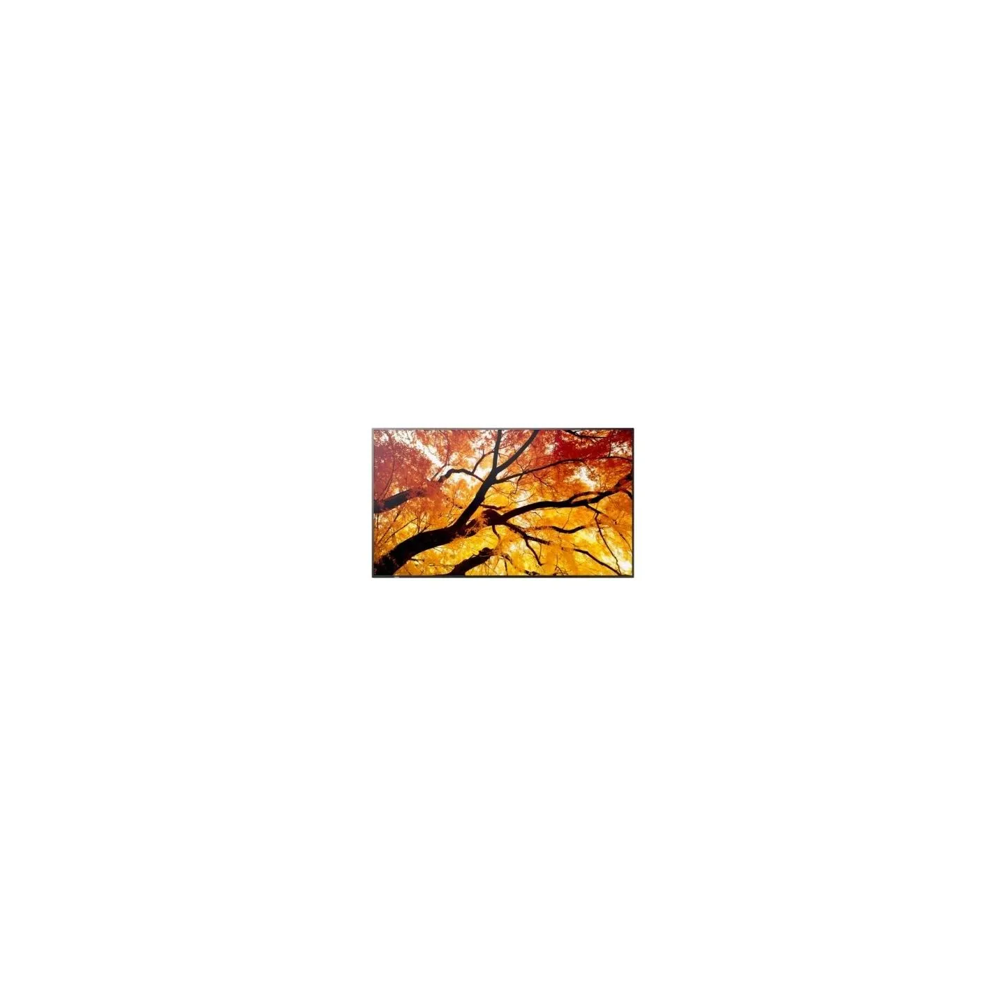 Sharp Display MultiSync M322 32-inch 24/7