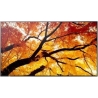 Sharp Display MultiSync M322 32-inch 24/7