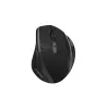 Canyon mouse OnClick 17 Ergonomic 6 buttons 1600DPI Wireless Black