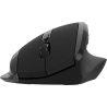Canyon mouse OnClick 17 Ergonomic 6 buttons 1600DPI Wireless Black