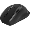 Canyon mouse OnClick 17 Ergonomic 6 buttons 1600DPI Wireless Black