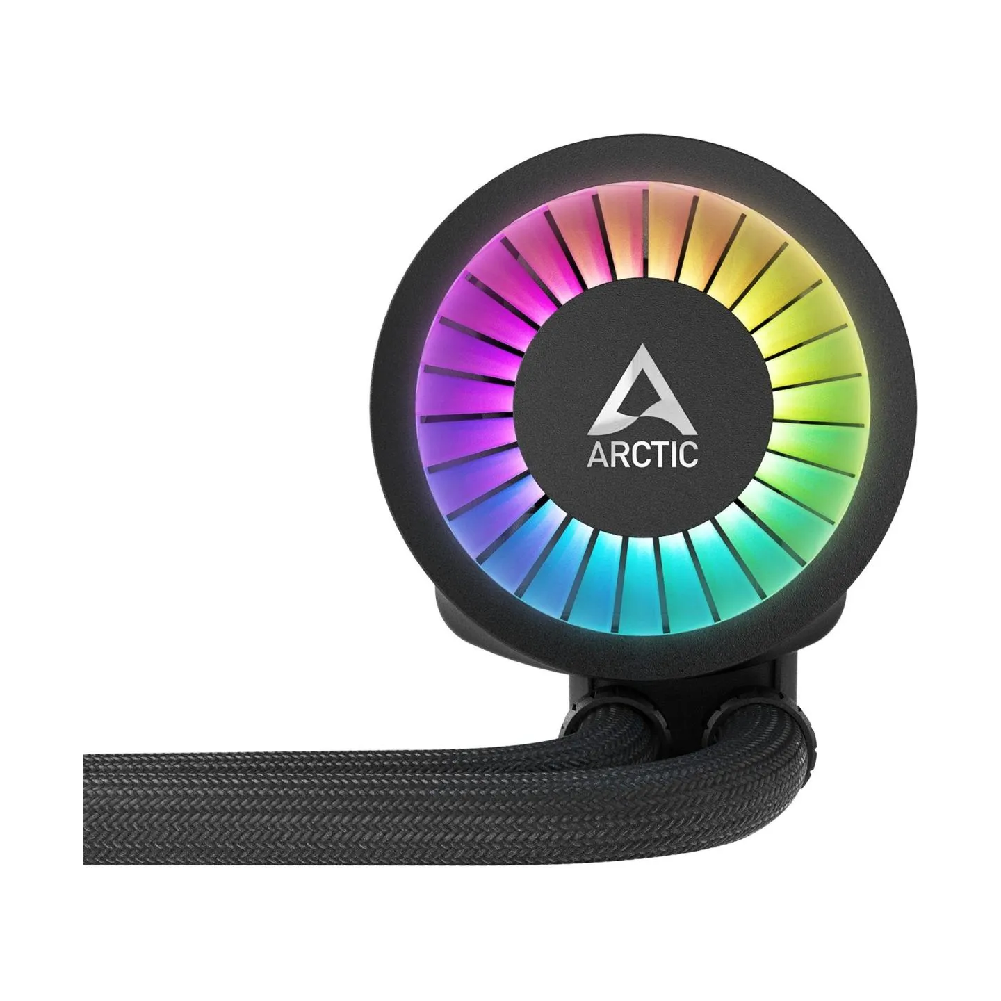 Arctic REP016713