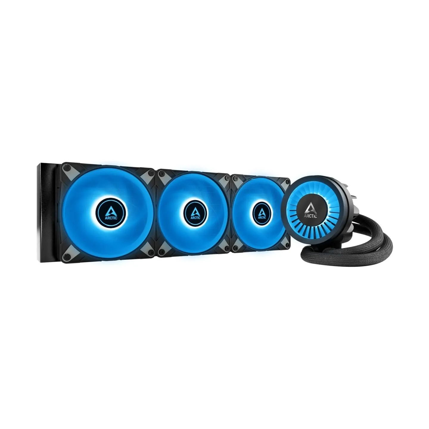 Arctic REP016713