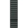 Apple 41mm Evergreen Magnetic Link - M/L | Apple
