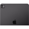 Apple iPad Pro 13 inches Wi-Fi 256 GB Standard glass - Space Black