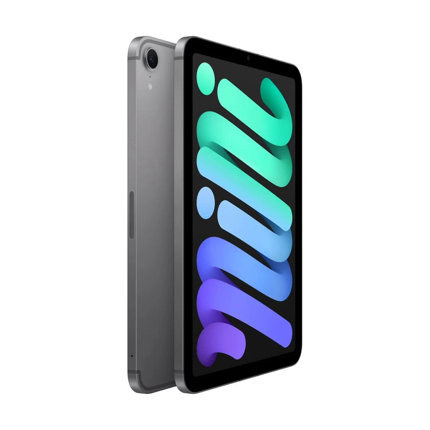 Apple iPad mini Wi-Fi + Cellular 128GB Space Gray