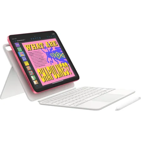 Apple IPAD WiFi + Cellular 11-inch 256GB Silver