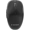 Gembird MOUSE USB OPTICAL WRL/MUSW2-6B-01 GEMBIRD