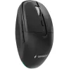 Gembird MOUSE USB OPTICAL WRL/MUSW2-6B-01 GEMBIRD