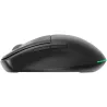 Gembird MOUSE USB OPTICAL WRL/MUSW2-6B-01 GEMBIRD