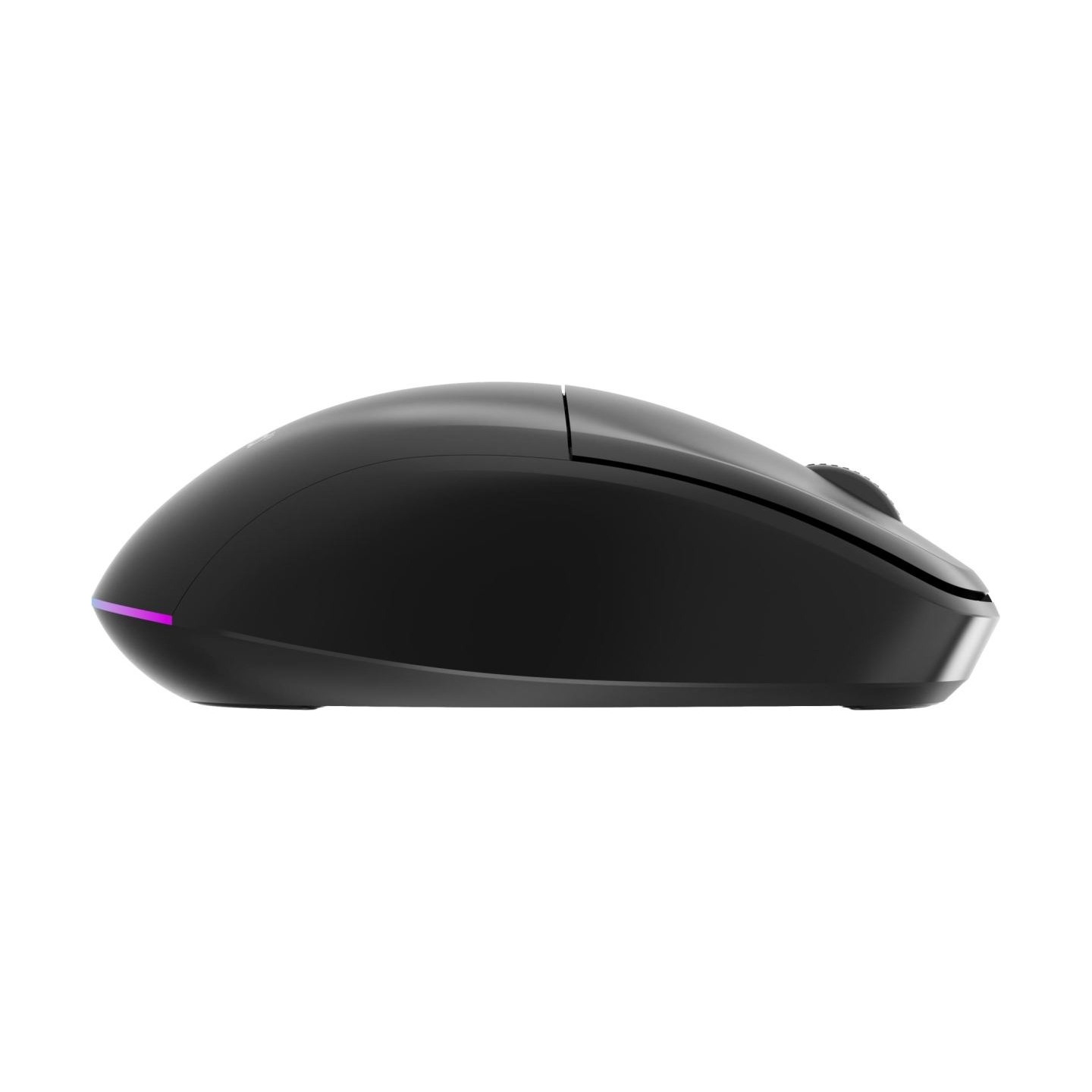 Gembird MOUSE USB OPTICAL WRL/MUSW2-6B-01 GEMBIRD