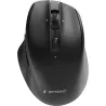 Gembird MOUSE USB OPTICAL WRL/MUSW2-6B-02 GEMBIRD
