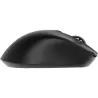 Gembird MOUSE USB OPTICAL WRL/MUSW2-6B-02 GEMBIRD