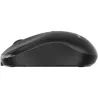 Gembird MUSW2-4B-01 Dual-mode 4-button wireless mouse, black | Gembird