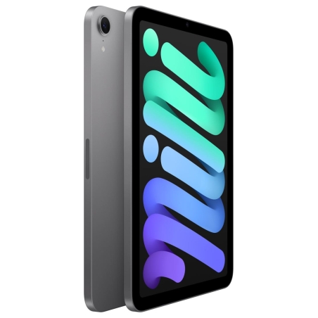 Apple iPad Mini | 8.3 " | Space grey | Liquid Retina IPS LED | 2266 x 1488 pixels | A17 Pro | 256 GB | Wi-Fi | Front camera | 12