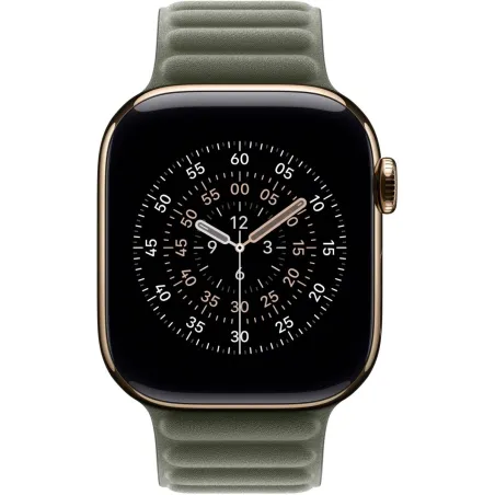 Apple 42mm Sage Gray Magnetic Link - S/M | Apple