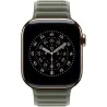 Apple 42mm Sage Gray Magnetic Link - S/M | Apple