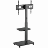 Gembird TV floor stand with caster wheel