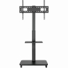 Gembird TV floor stand with caster wheel