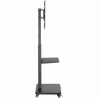 Gembird TV floor stand with caster wheel