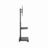 Gembird TV SET ACC FLOOR STAND 37-75"/BLACK TVS-75S-02 GEMBIRD