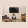 Gembird TV SET ACC FLOOR STAND 37-75"/BLACK TVS-75S-02 GEMBIRD
