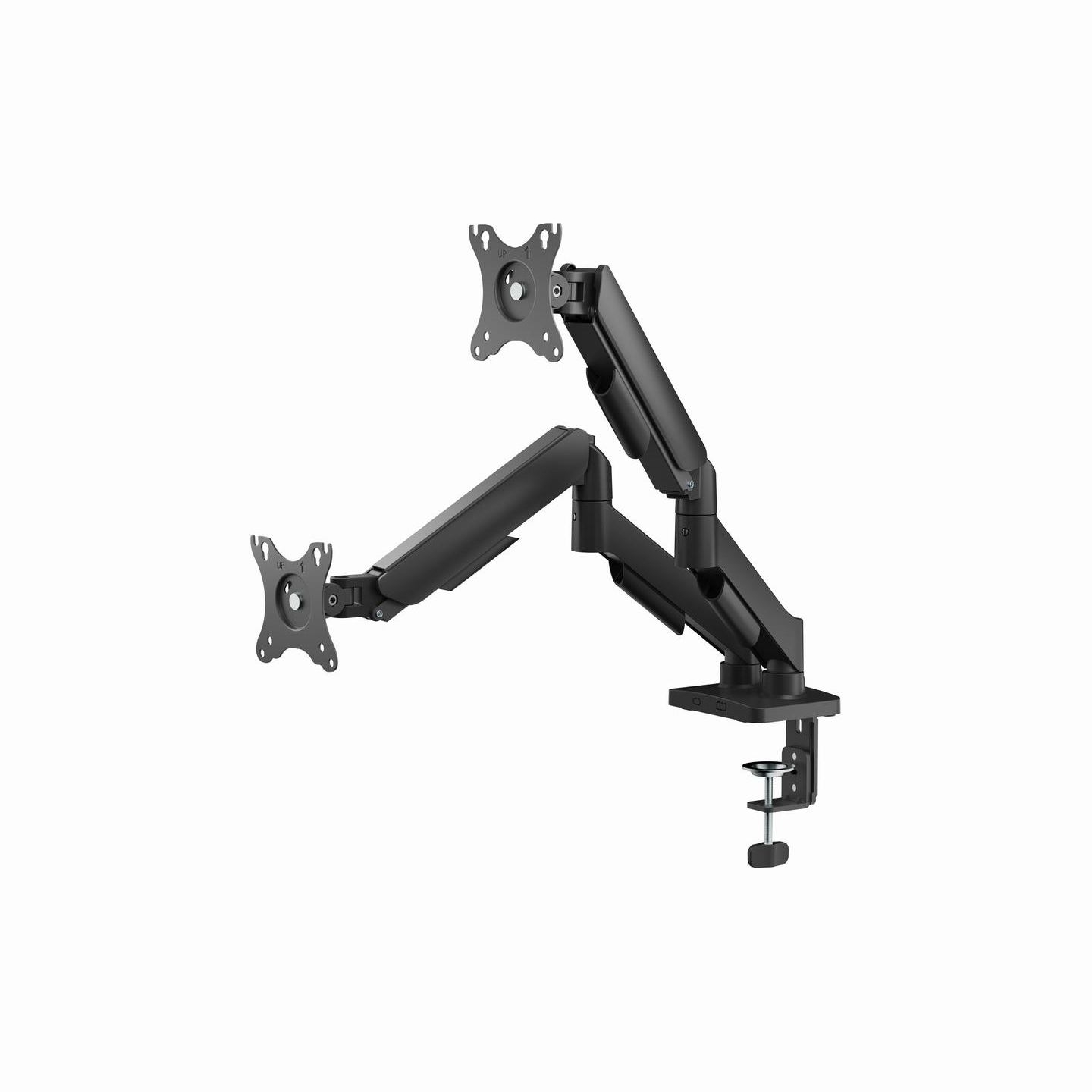 Gembird Adjustable desk 2-display