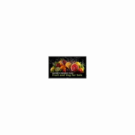 Philips 98" UHD 24/7 600 NITS ANDROID SOC WIFI