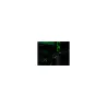 Schneider Electric Back-UPS Pro for Gaming, Tower, 230V, 4x Schuko ir 2x IEC C13 lizdai, RGB Light, Pure Sine Wave, Midnight | 2