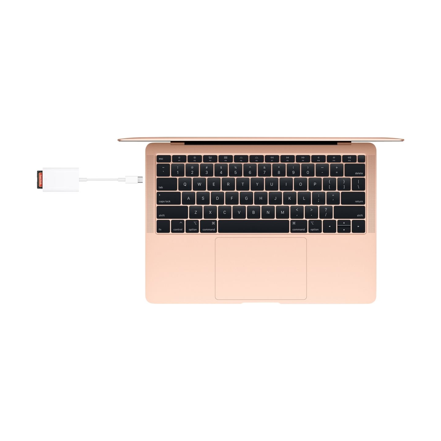 Apple USB-C to SD Card Reader
