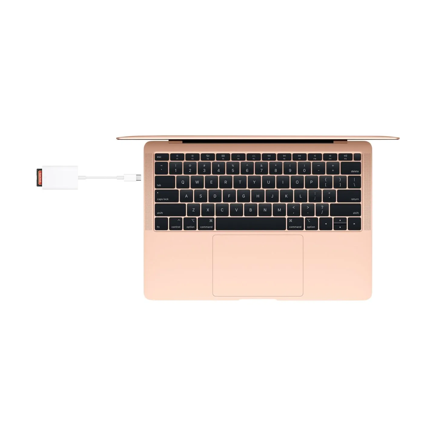 Apple USB-C to SD Card Reader
