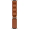 Apple 49mm Terra Cotta Alpine Loop - Medium - Natural Titanium Finish | Apple
