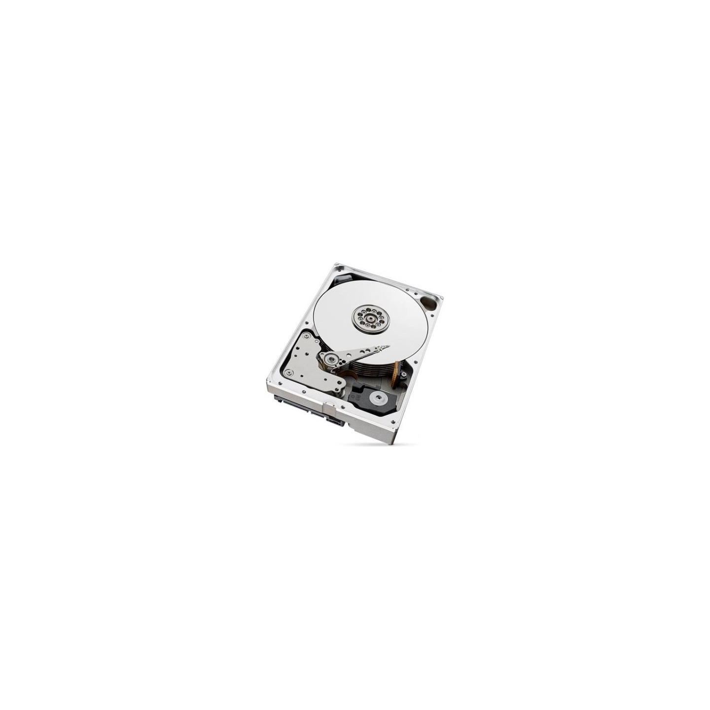 Seagate Drive SkyHawkAI 10TB 3,5 256MB ST10000VE001