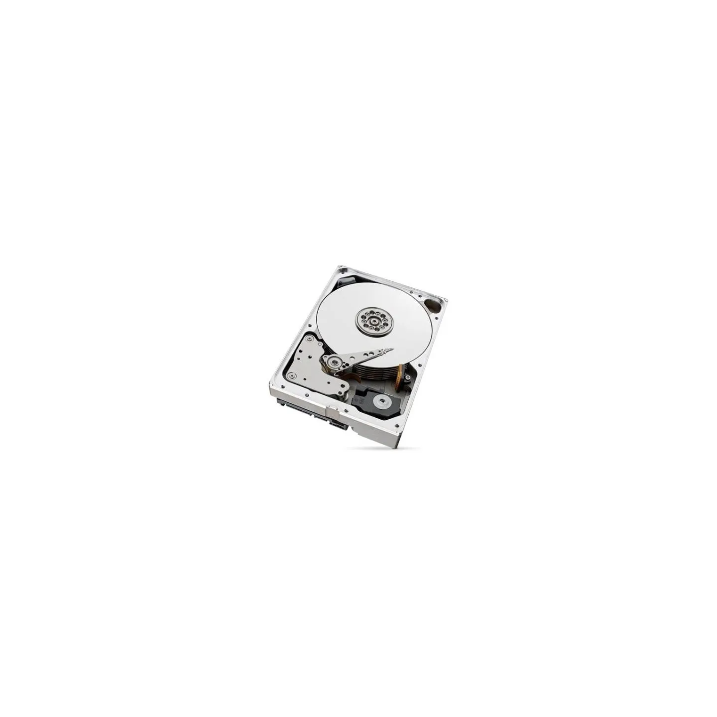 Seagate Drive SkyHawkAI 10TB 3,5 256MB ST10000VE001
