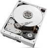 Seagate Drive SkyHawkAI 10TB 3,5 256MB ST10000VE001