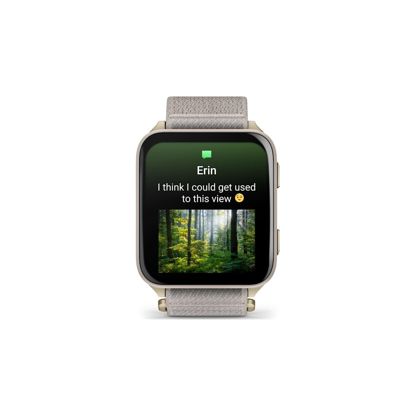 Garmin SMARTWATCH VENU X1/GOLD/TITAN 010-02980-09 GARMIN