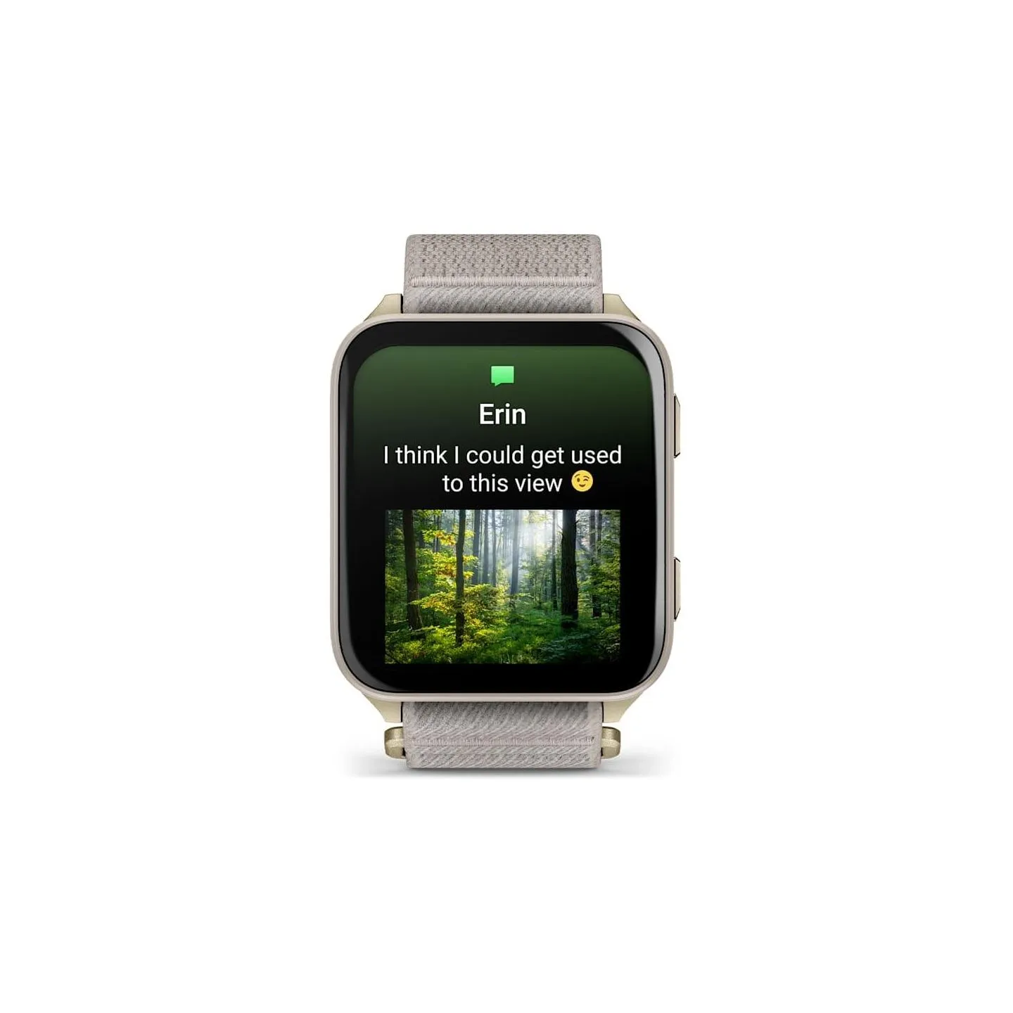 Garmin SMARTWATCH VENU X1/GOLD/TITAN 010-02980-09 GARMIN