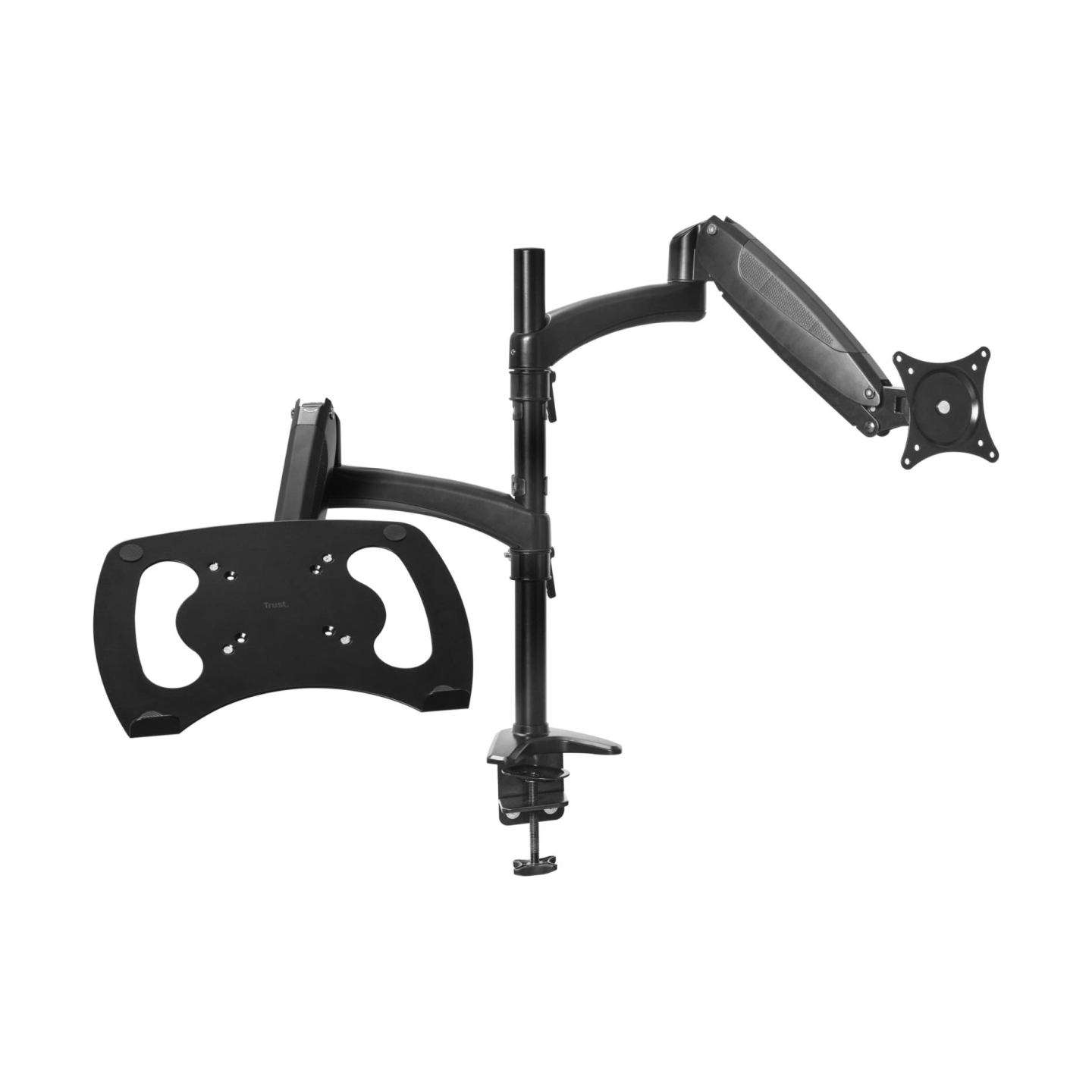 Trust MONITOR ACC ARM DUAL/MARA 25337 TRUST