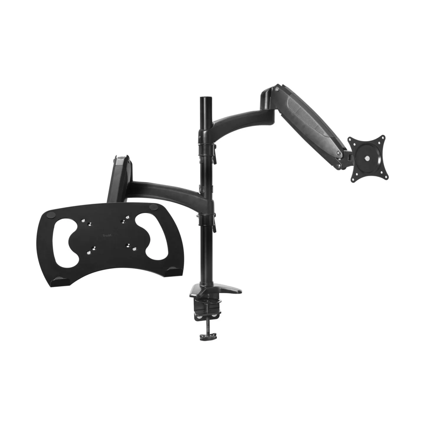 Trust MONITOR ACC ARM DUAL/MARA 25337 TRUST
