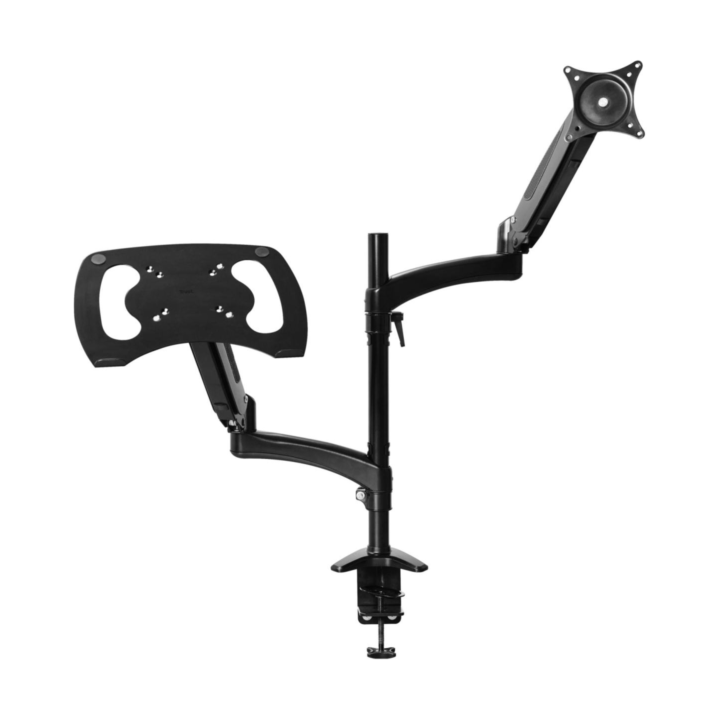 Trust MONITOR ACC ARM DUAL/MARA 25337 TRUST