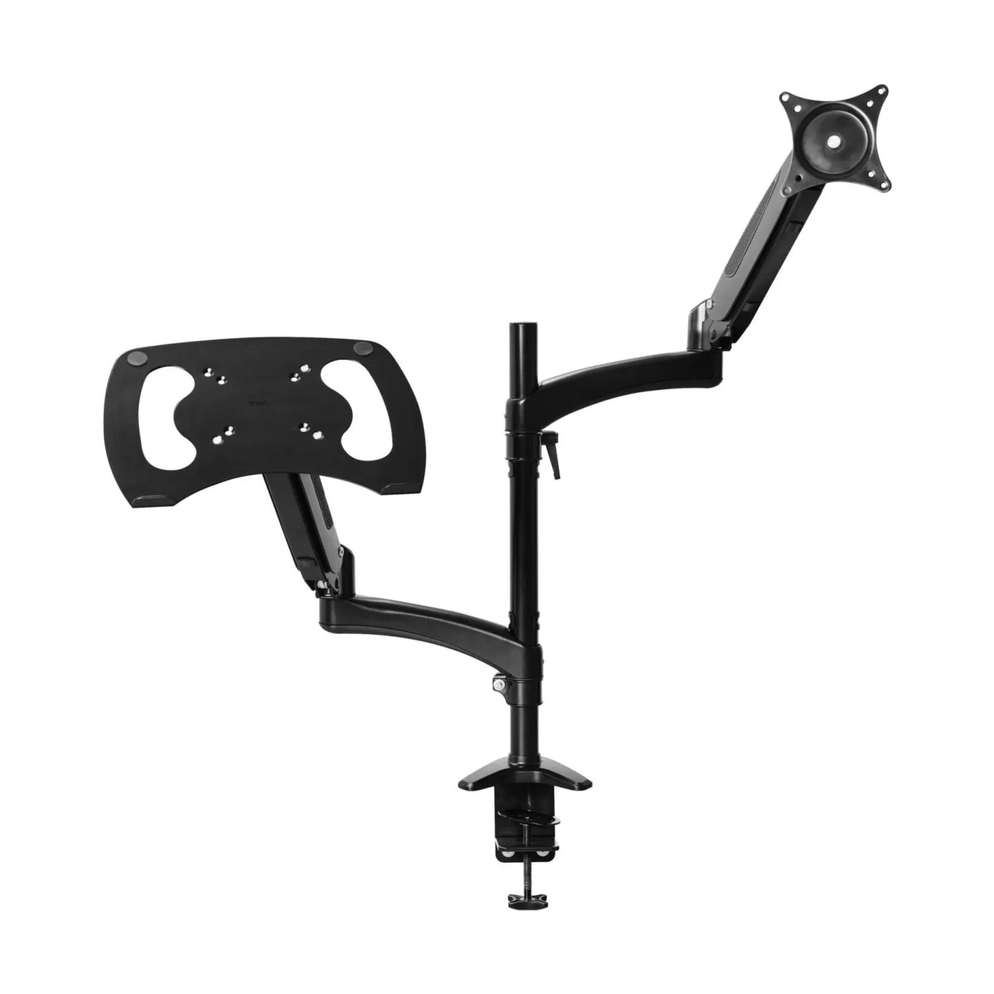 Trust MONITOR ACC ARM DUAL/MARA 25337 TRUST