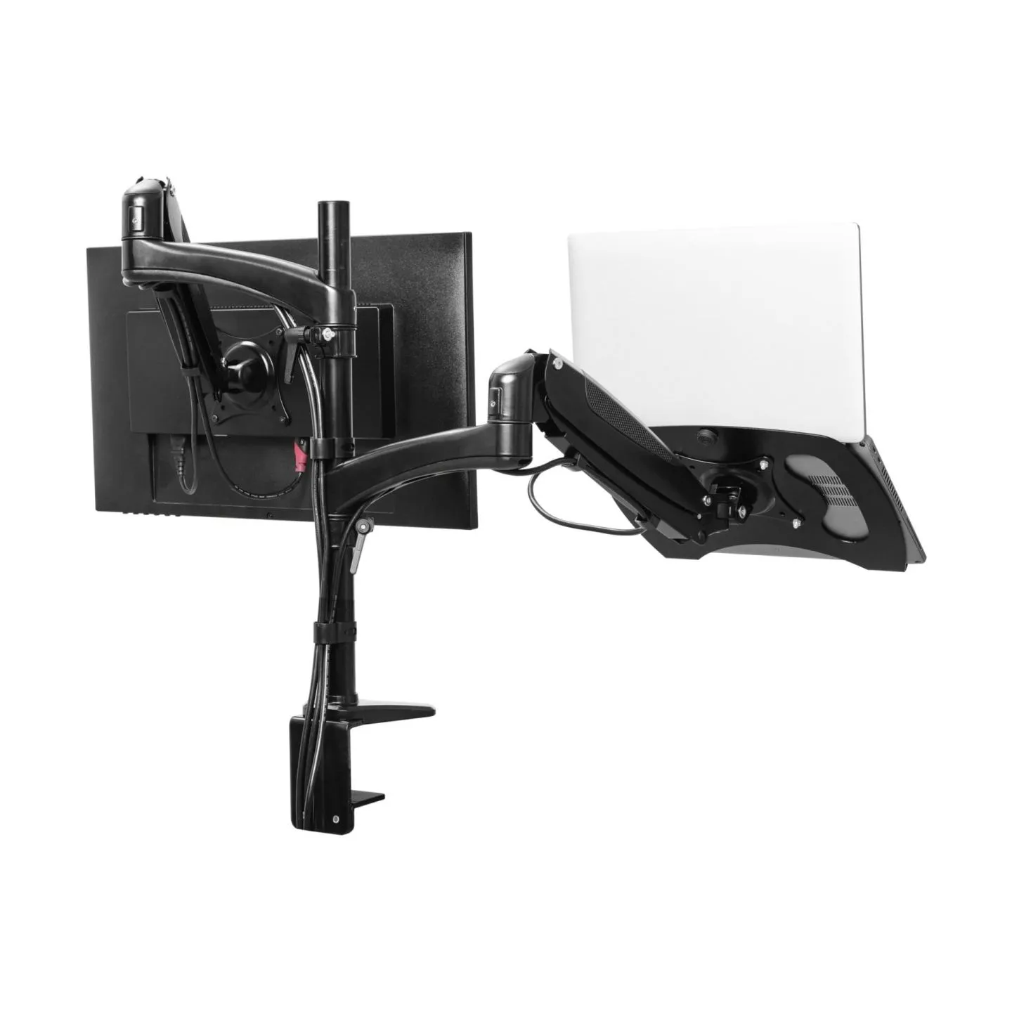 Trust MONITOR ACC ARM DUAL/MARA 25337 TRUST