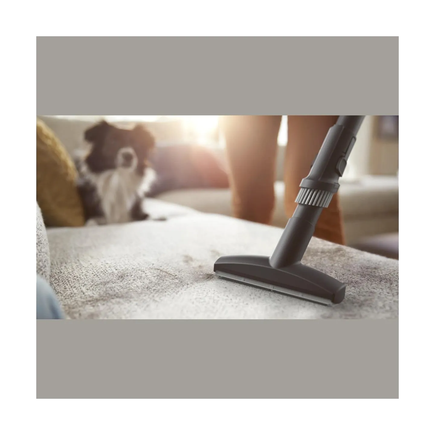 Philips Performer LED 8000 Series Bagged vacuum cleaner XD8122/10, 900W, TriActive / XD8122/10